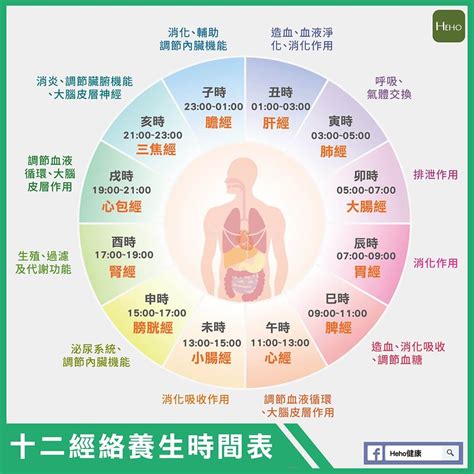 十二經絡養生時間表|十二時辰養生法 